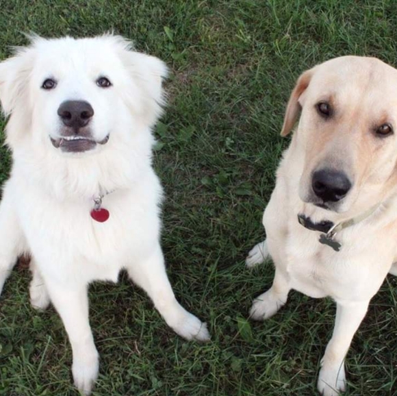 Meet your Posher, Maria - Picture 8 of 8